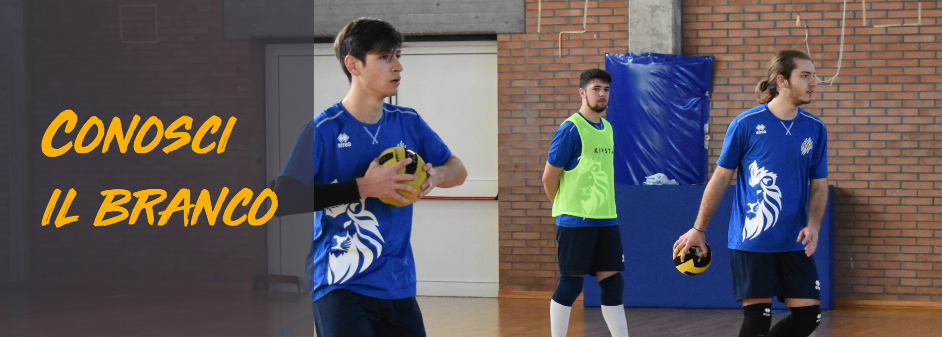 Dodgeball Maschile